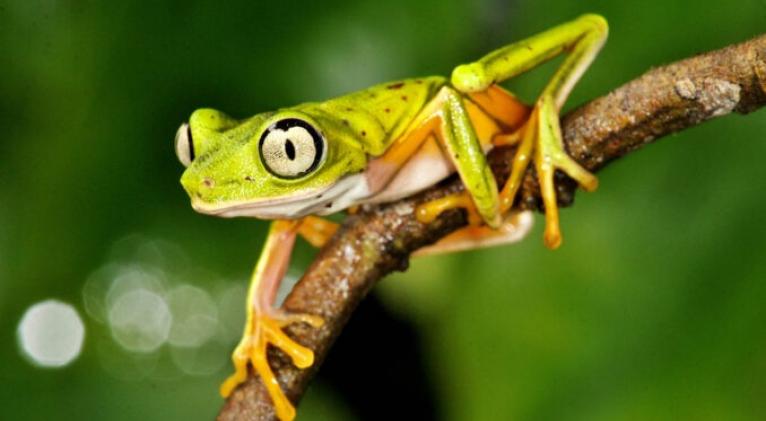 Foto: tomada de radiobayamo.icrt.cu Foto: tomada de radiobayamo.icrt.cu